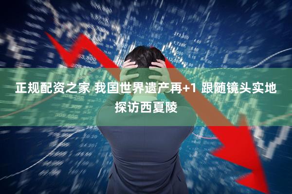 正规配资之家 我国世界遗产再+1 跟随镜头实地探访西夏陵