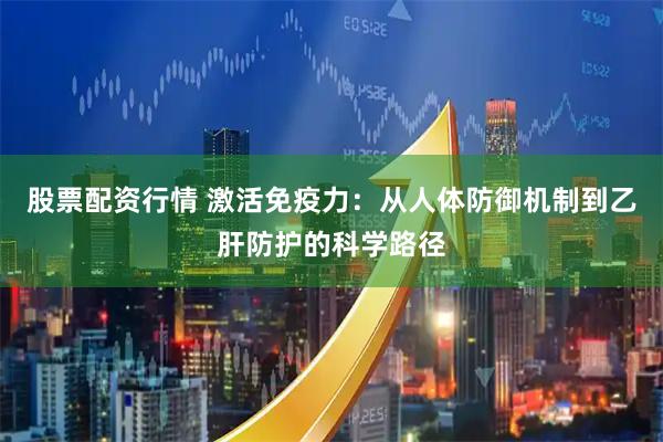 股票配资行情 激活免疫力：从人体防御机制到乙肝防护的科学路径