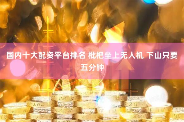 国内十大配资平台排名 枇杷坐上无人机 下山只要五分钟